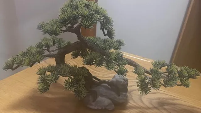 How a bonsai plant is made